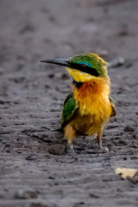 2019-09_afrika-0698.jpg