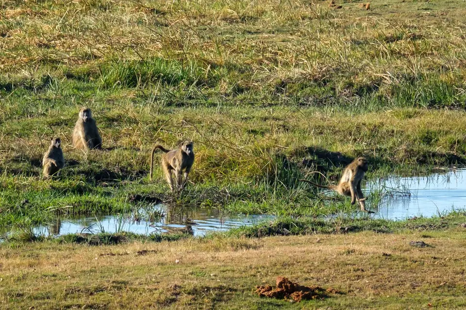 2019-09_afrika-0702.jpg