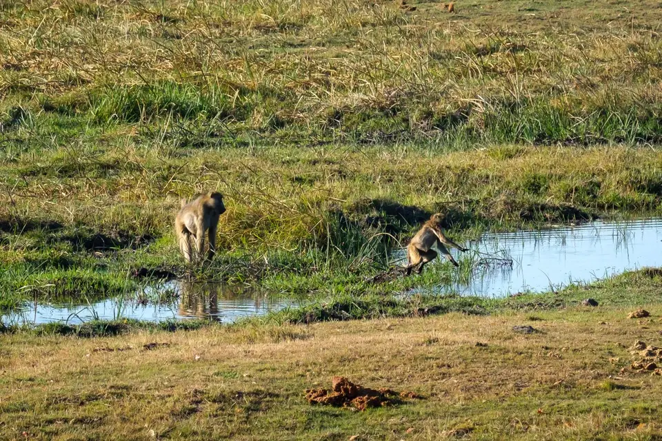2019-09_afrika-0703.jpg