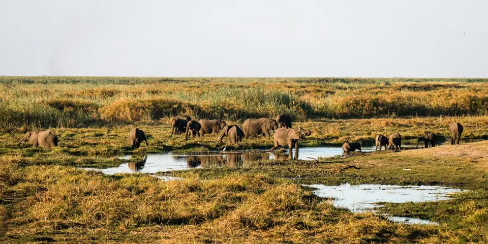 2019-09_afrika-0713-b.jpg