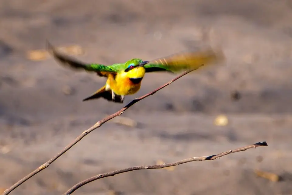 2019-09_afrika-0722.jpg