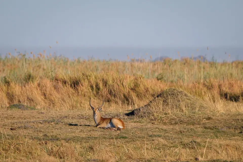 2019-09_afrika-0724.jpg