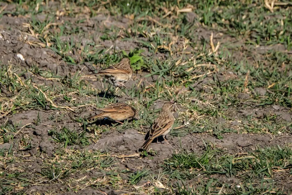 2019-09_afrika-0728.jpg