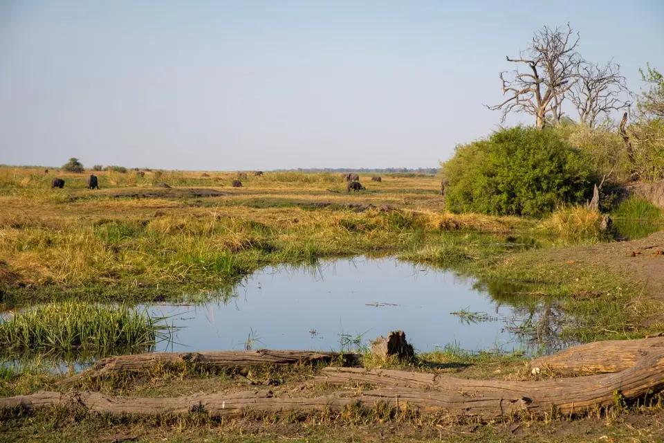 2019-09_afrika-0747.jpg