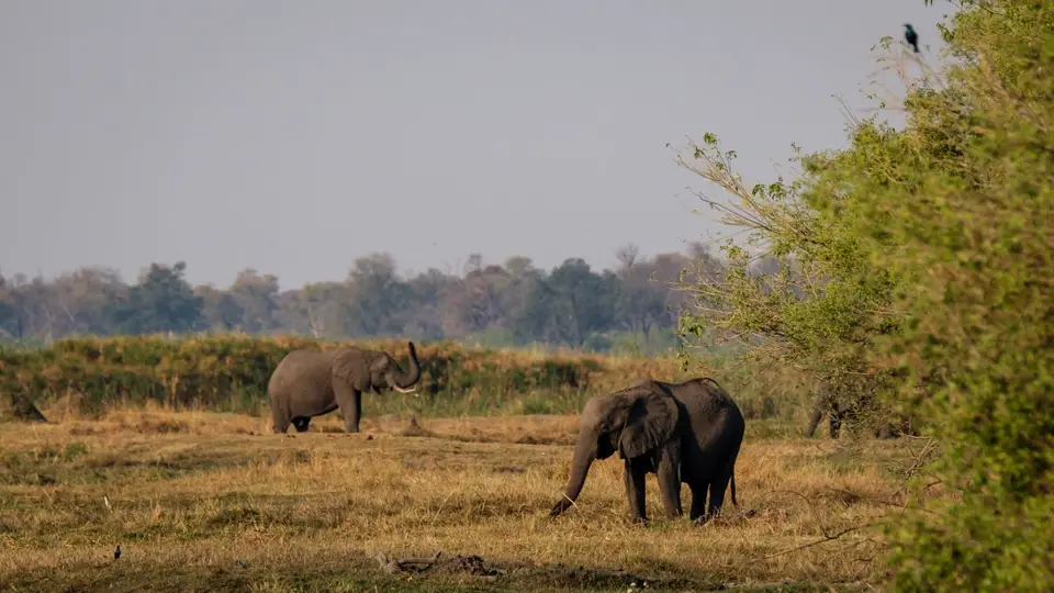 2019-09_afrika-0750.jpg