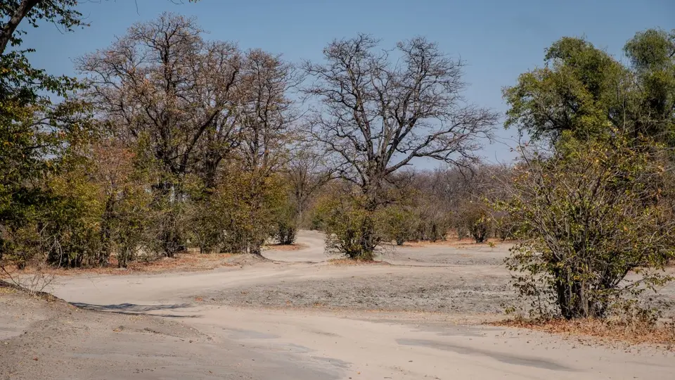 2019-09_afrika-0769.jpg
