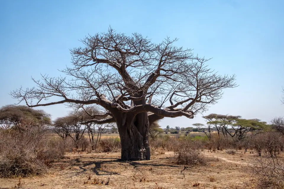 2019-09_afrika-0781.jpg