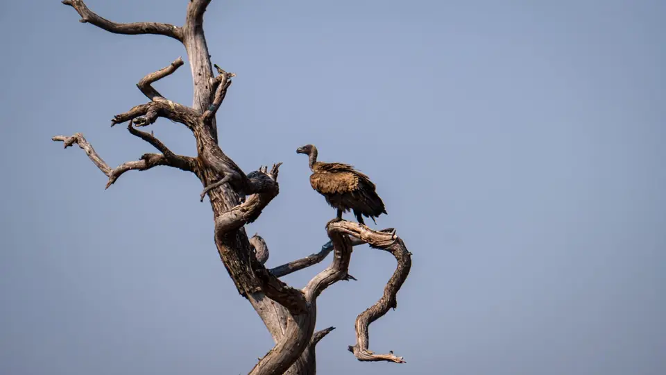 2019-09_afrika-0794.jpg