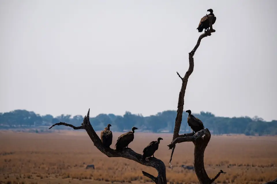 2019-09_afrika-0795.jpg