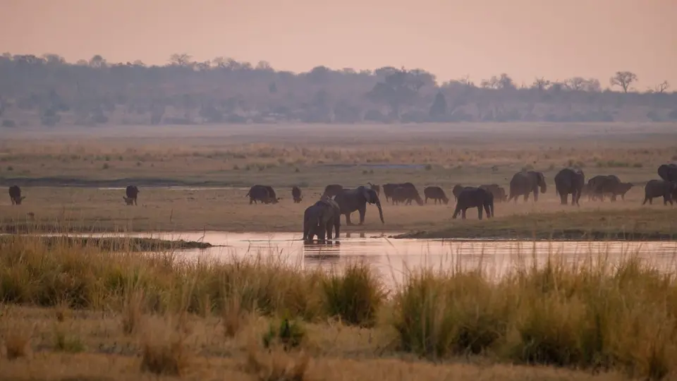 2019-09_afrika-0806.jpg