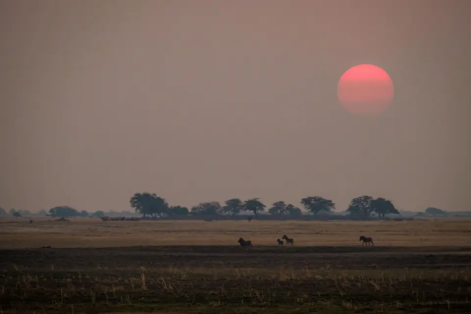 2019-09_afrika-0808.jpg