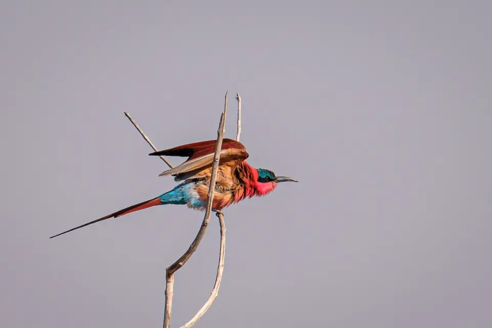 2019-09_afrika-0821.jpg