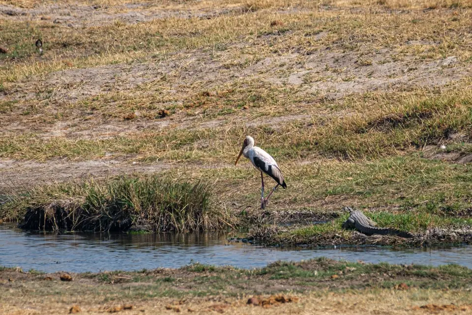 2019-09_afrika-0840.jpg