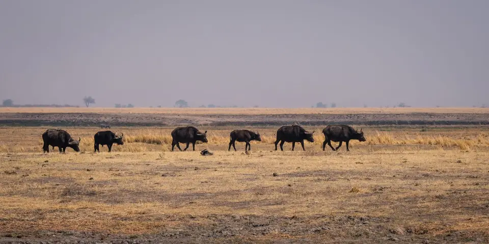 2019-09_afrika-0846.jpg