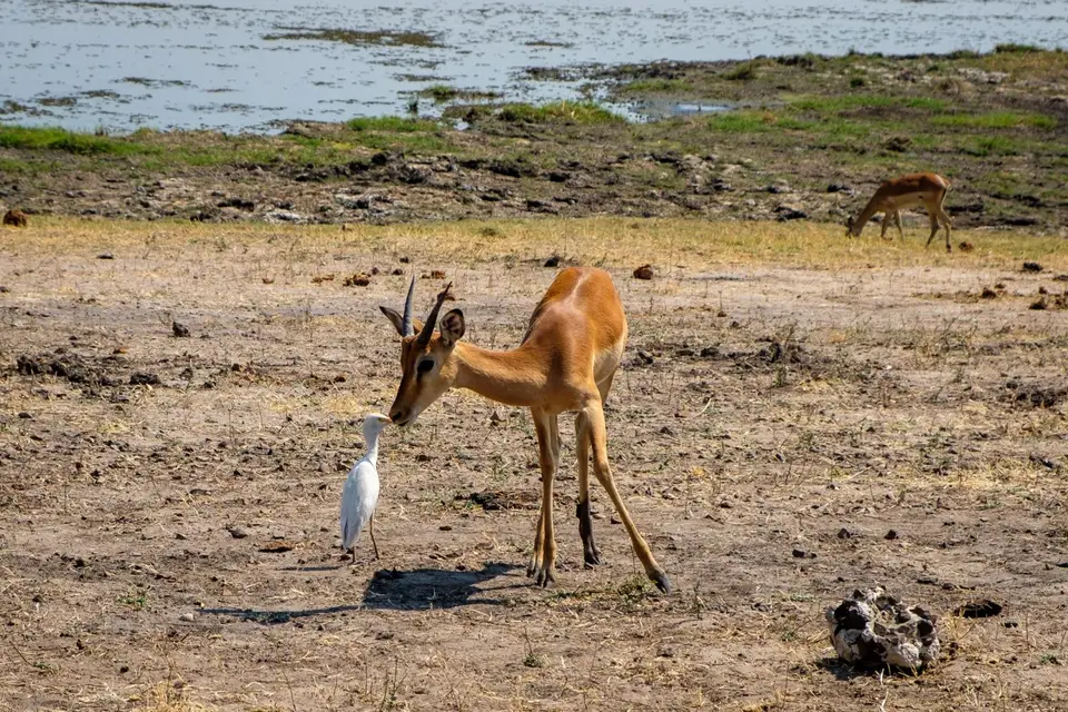 2019-09_afrika-0851.jpg