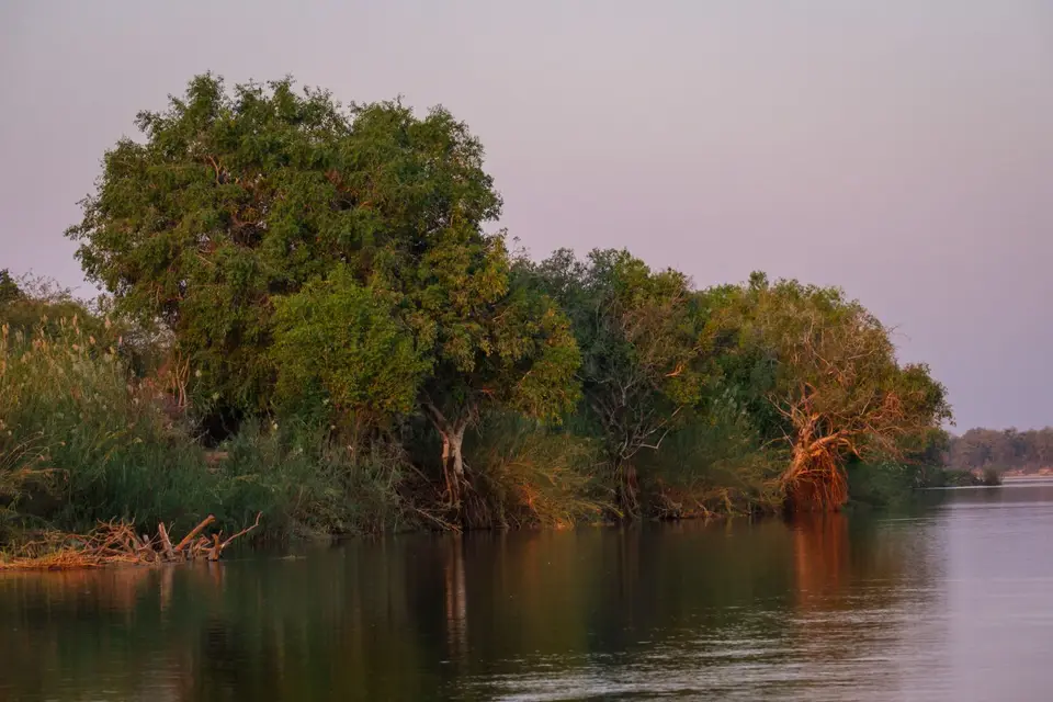 2019-09_afrika-0961.jpg