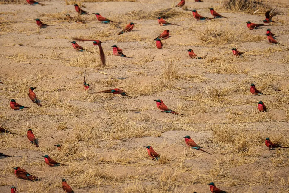 2019-09_afrika-1010.jpg