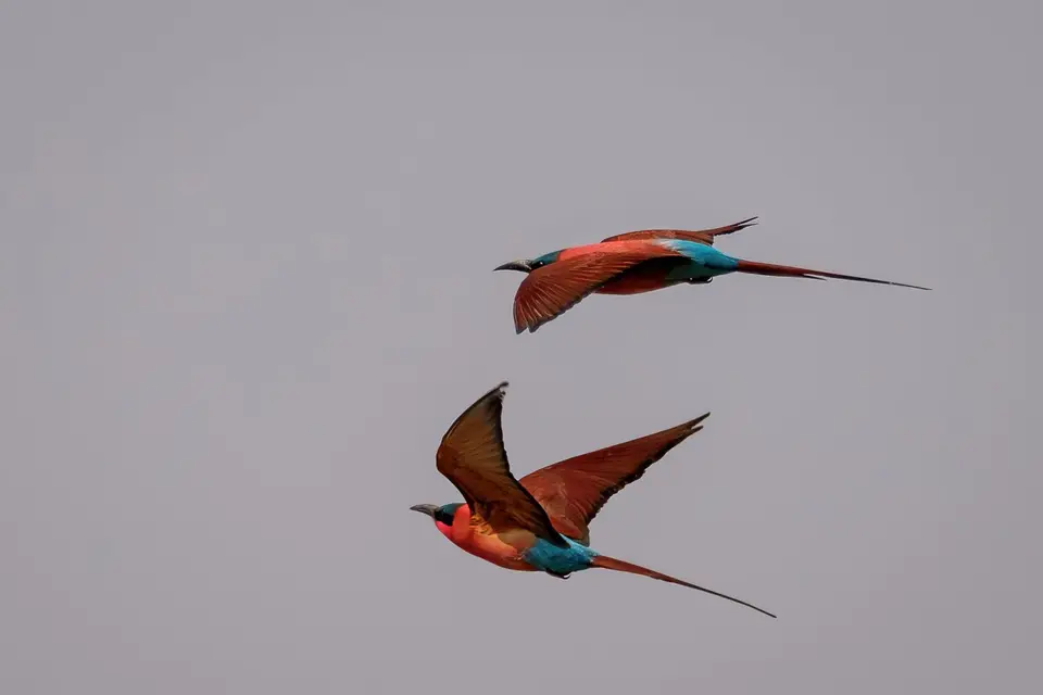 2019-09_afrika-1019-b.jpg