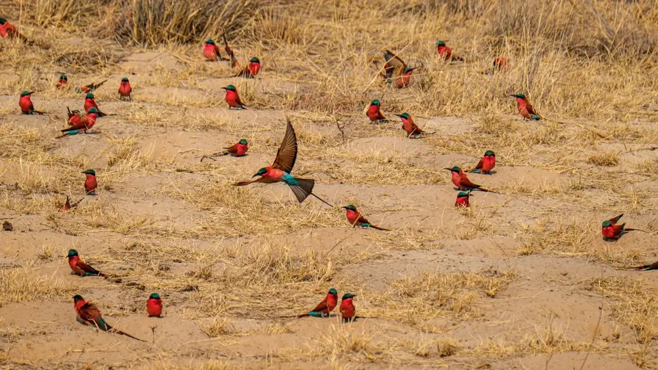 2019-09_afrika-1021-2.jpg