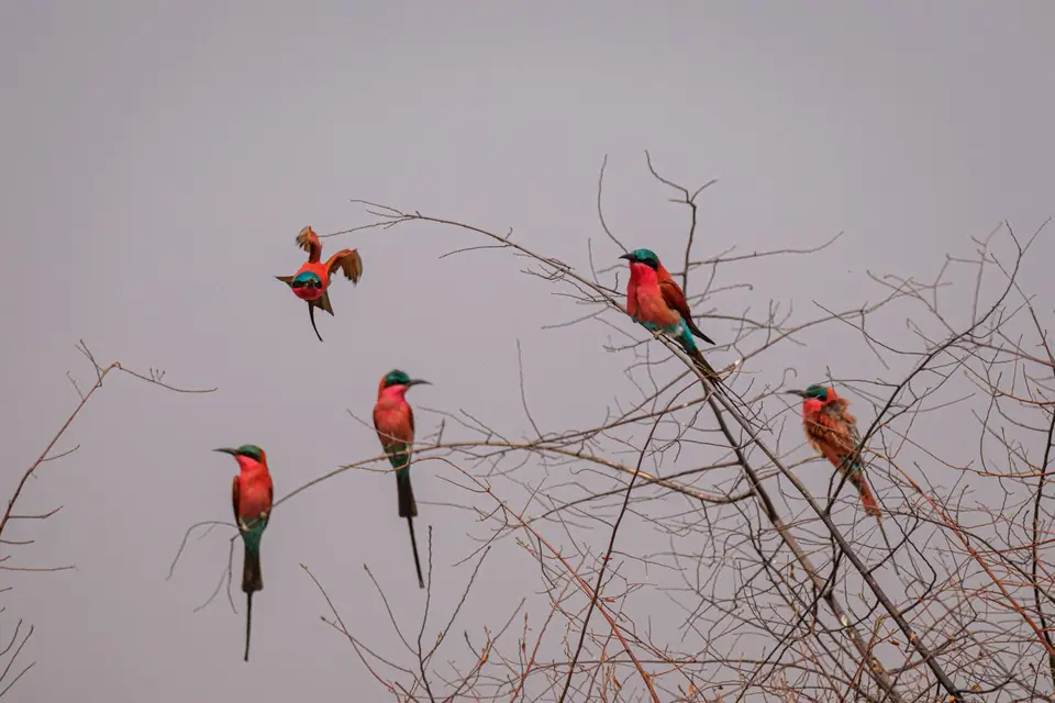2019-09_afrika-1026-2.jpg