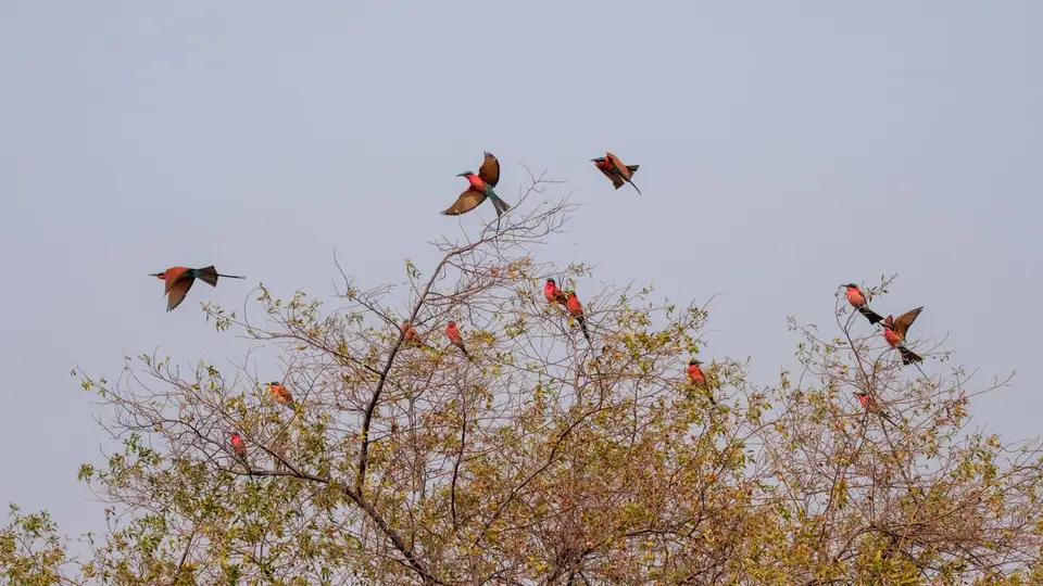 2019-09_afrika-1028.jpg