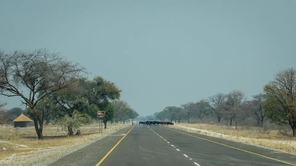 2019-09_afrika-1063.jpg