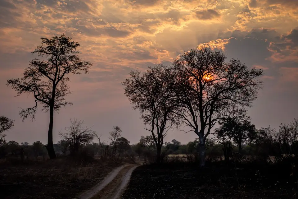 2019-09_afrika-1085.jpg