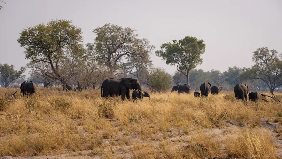 2019-09_afrika-1092.jpg