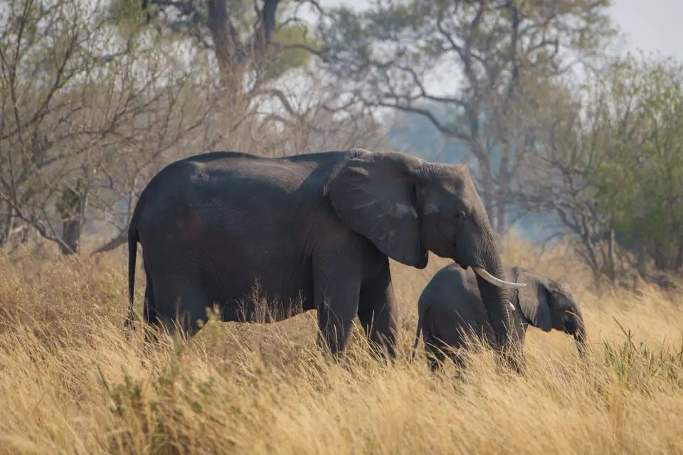 2019-09_afrika-1093.jpg