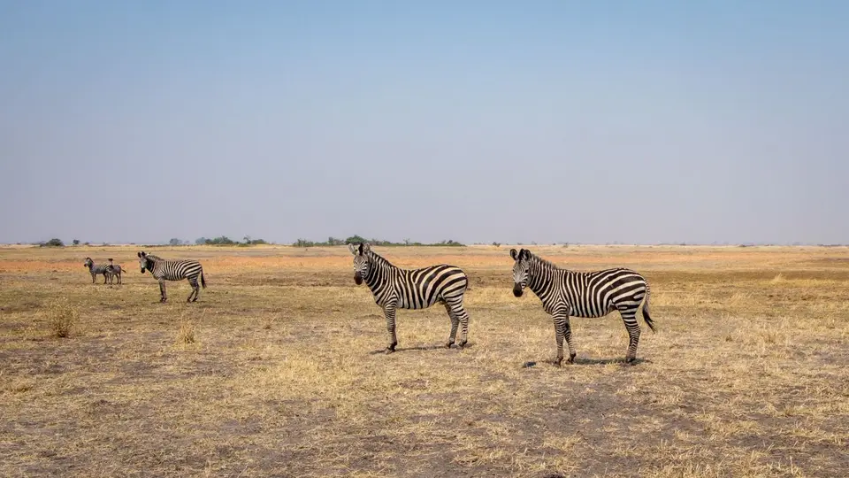 2019-09_afrika-1113.jpg