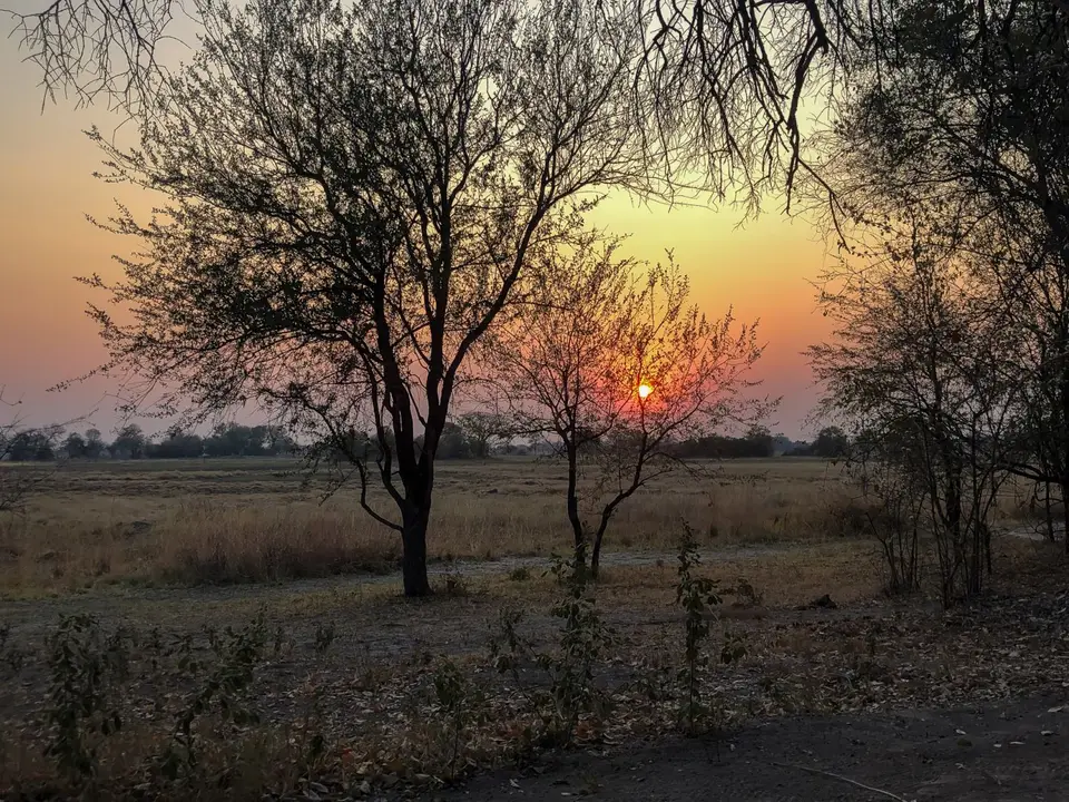 2019-09_afrika-1129.jpg