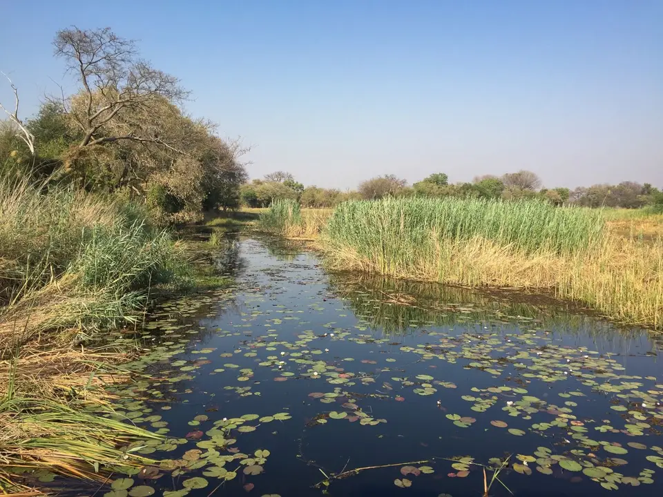 2019-09_afrika-1133.jpg