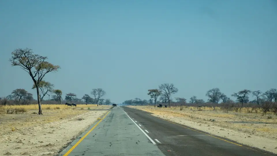 2019-09_afrika-1142.jpg