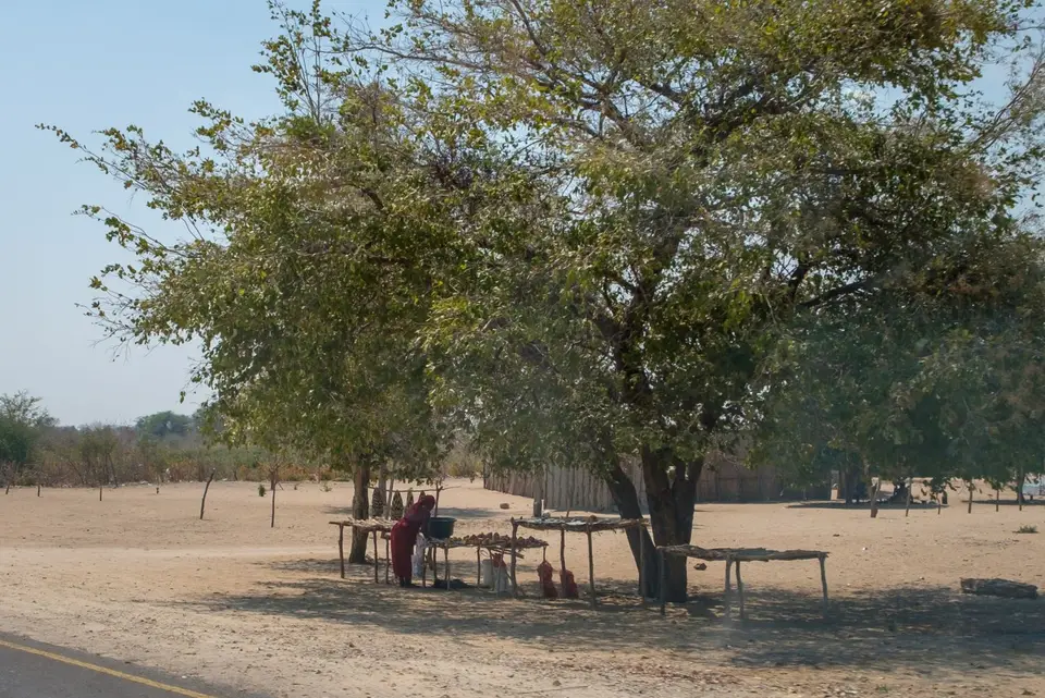 2019-09_afrika-1148.jpg