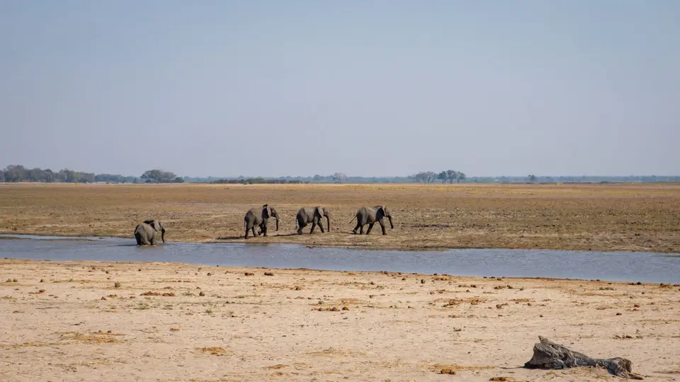2019-09_afrika-1181.jpg