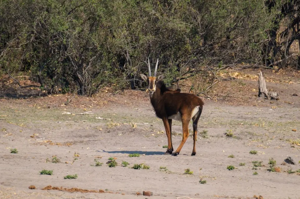 2019-09_afrika-1187.jpg
