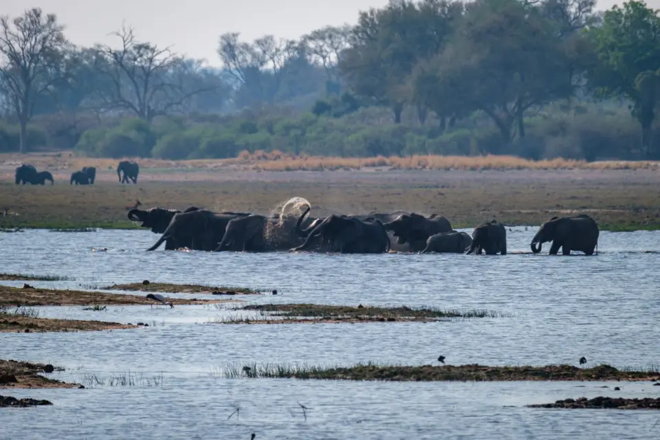 2019-09_afrika-1199.jpg