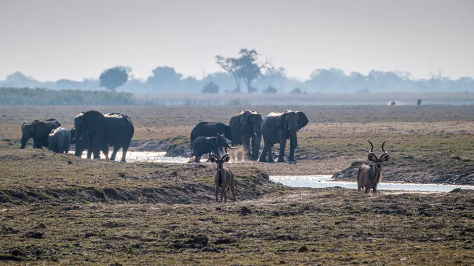 2019-09_afrika-1201.jpg