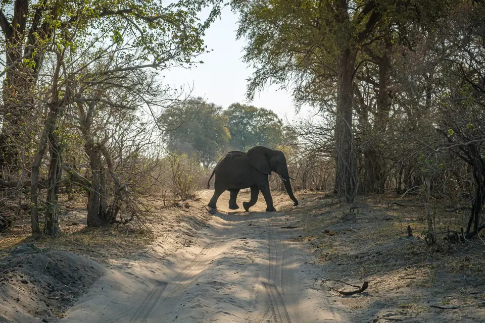 2019-09_afrika-1205.jpg