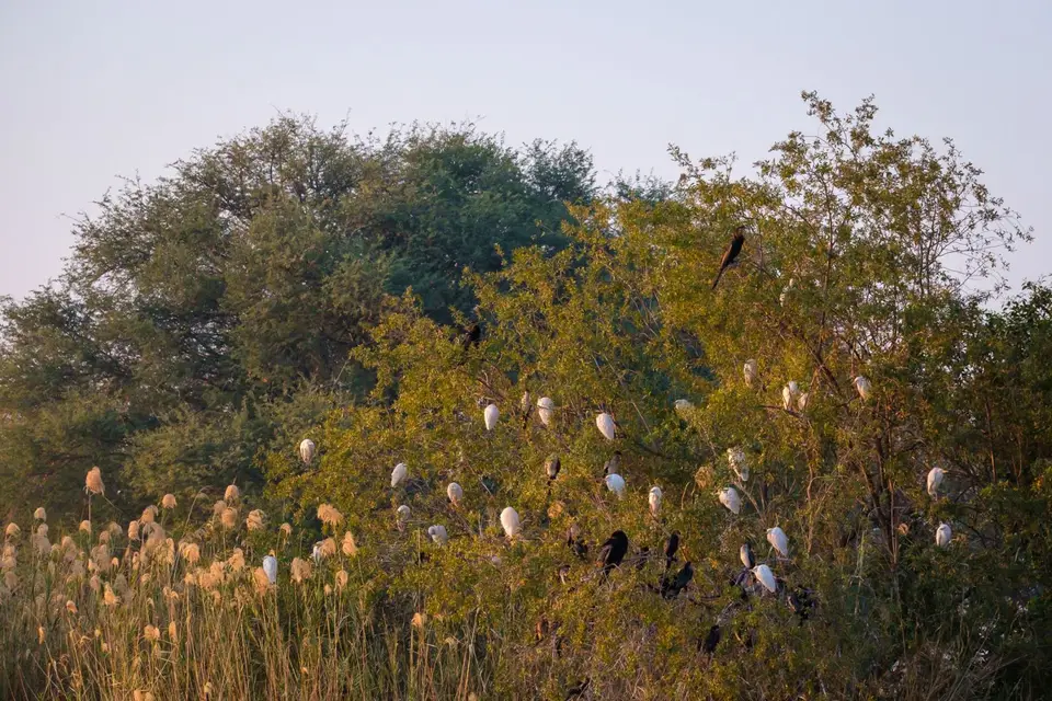 2019-09_afrika-1236.jpg