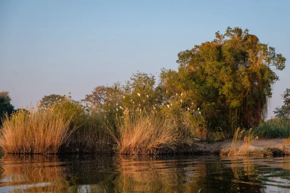 2019-09_afrika-1238.jpg