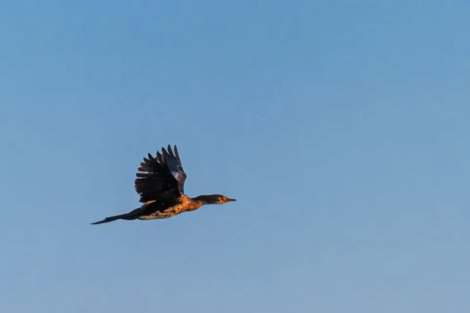 2019-09_afrika-1240-b.jpg
