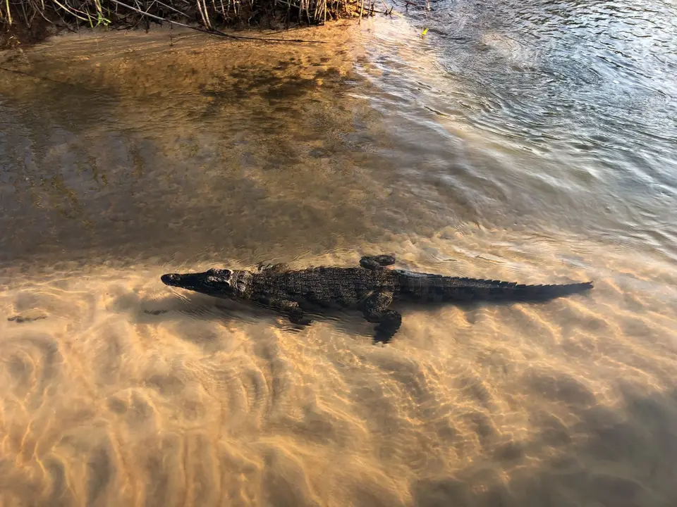 2019-09_afrika-1257.jpg