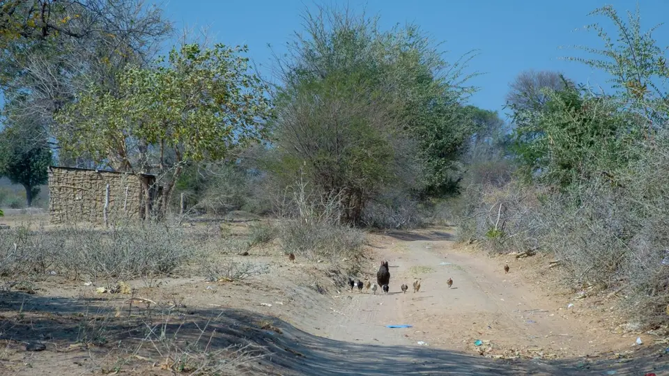 2019-09_afrika-1280.jpg