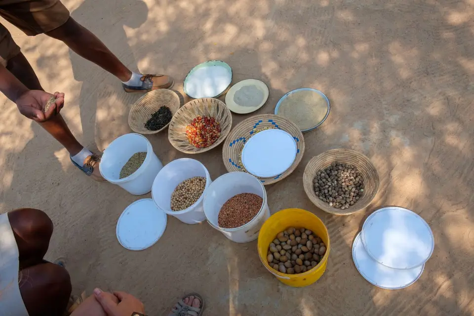 2019-09_afrika-1282.jpg