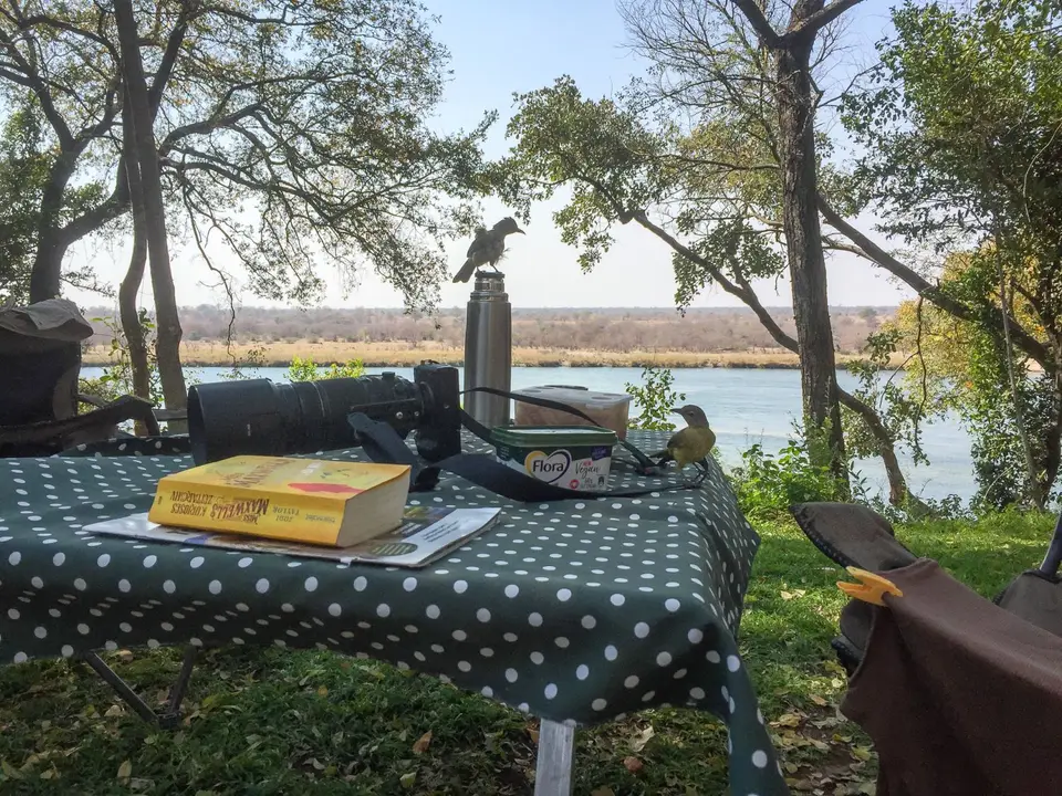 2019-09_afrika-1304.jpg