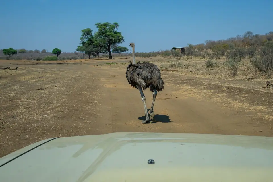 2019-09_afrika-1326.jpg