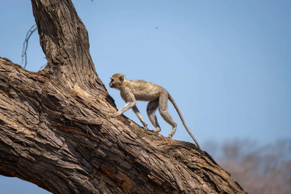 2019-09_afrika-1329.jpg
