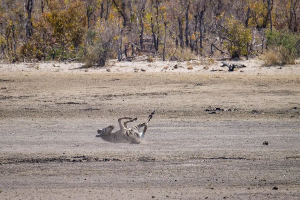 2019-09_afrika-1335.jpg