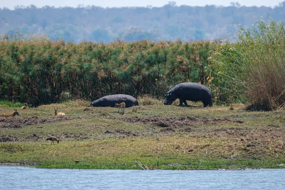 2019-09_afrika-1345.jpg
